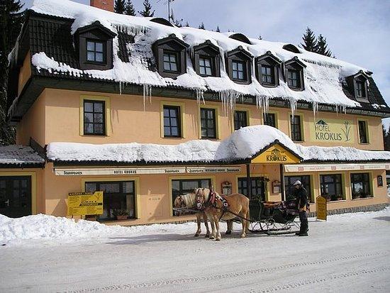Ristorante zafferano